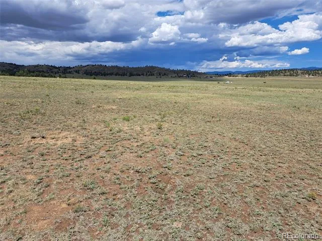 389 Park Road Hartsel, CO 80449
