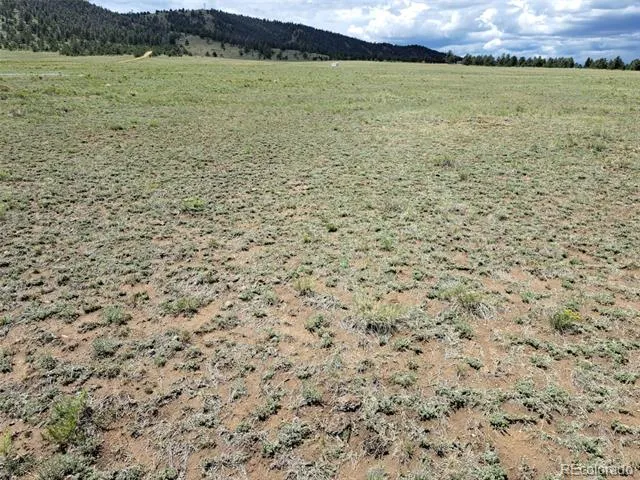 389 Park Road Hartsel, CO 80449