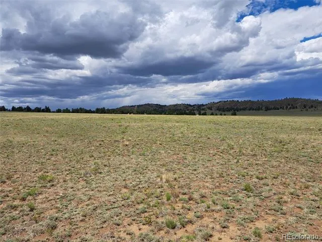 389 Park Road Hartsel, CO 80449