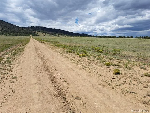 389 Park Road Hartsel, CO 80449