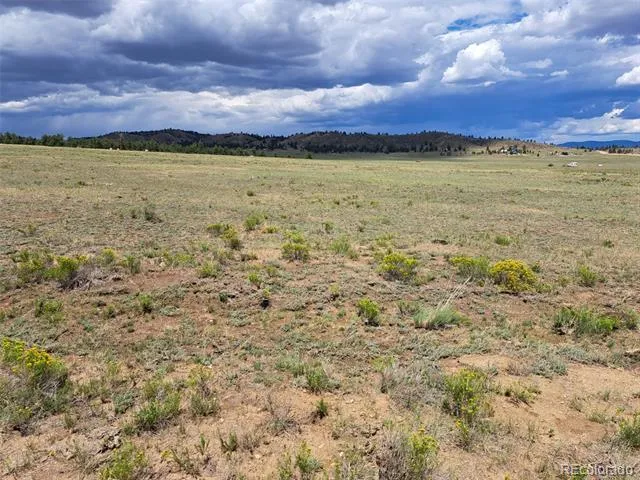 389 Park Road Hartsel, CO 80449