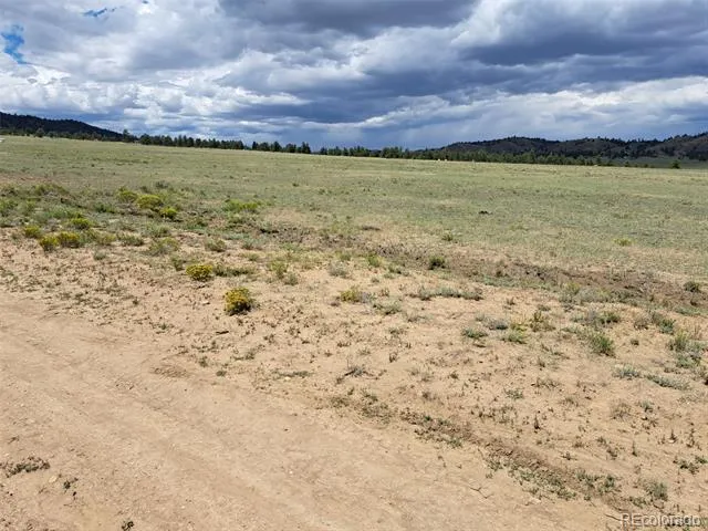 389 Park Road Hartsel, CO 80449