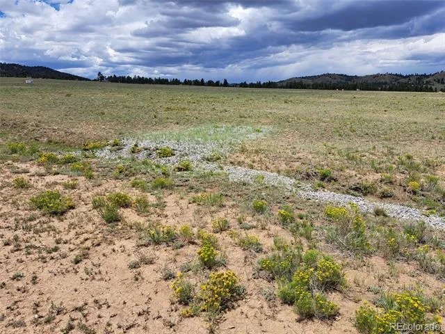 389 Park Road Hartsel, CO 80449
