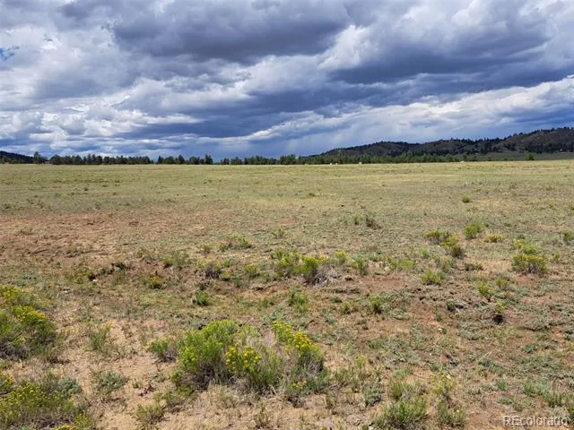 389 Park Road Hartsel, CO 80449