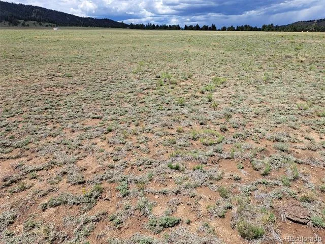 389 Park Road Hartsel, CO 80449