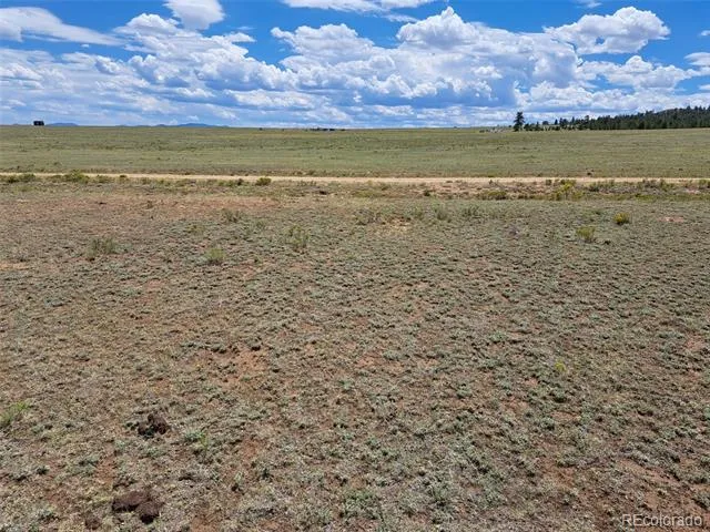 389 Park Road Hartsel, CO 80449