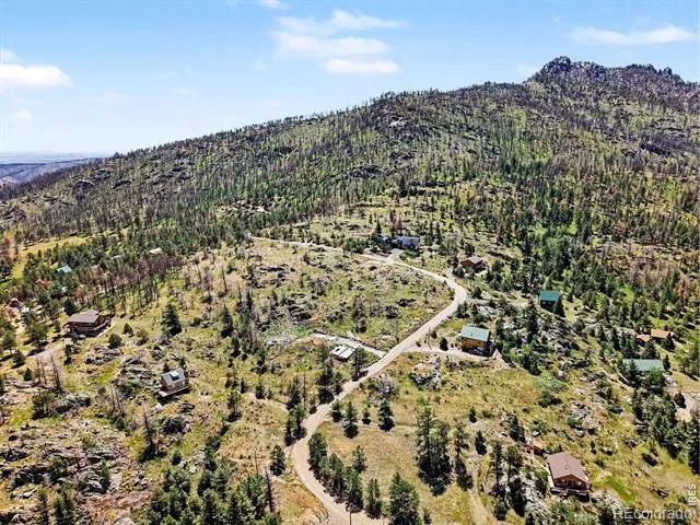 1045 Palisade Mountain Drive Drake, CO 80515