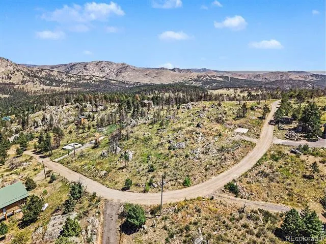 1045 Palisade Mountain Drive Drake, CO 80515