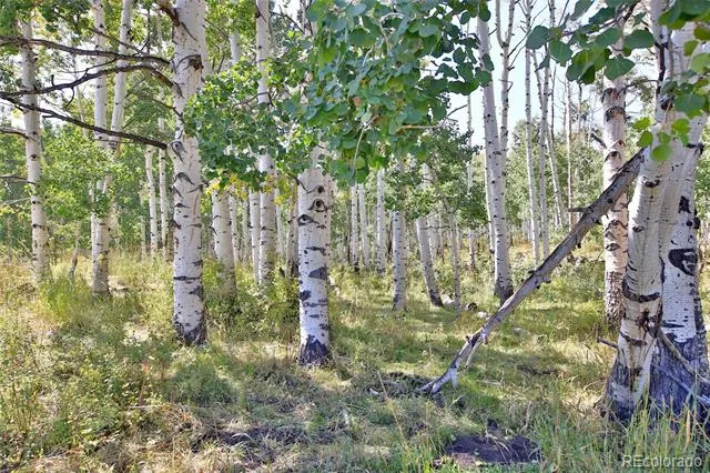 000 Divide Road Whitewater, CO 81527