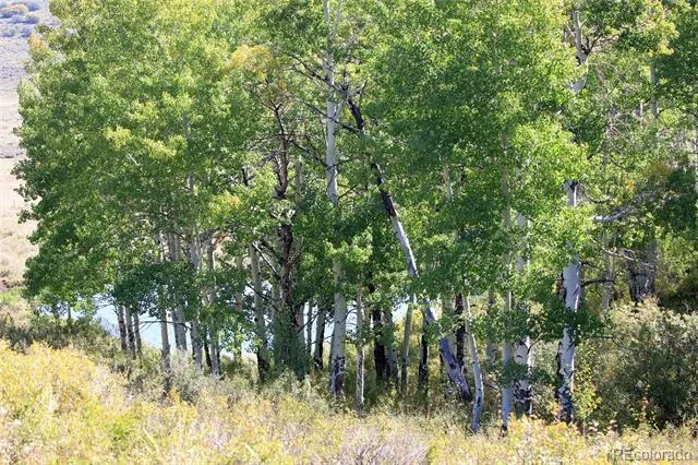 000 Divide Road Whitewater, CO 81527