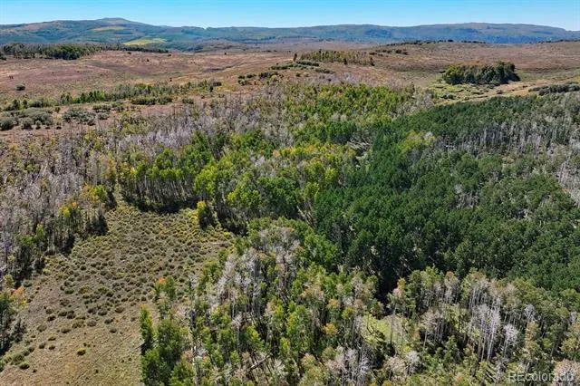 000 Divide Road Whitewater, CO 81527