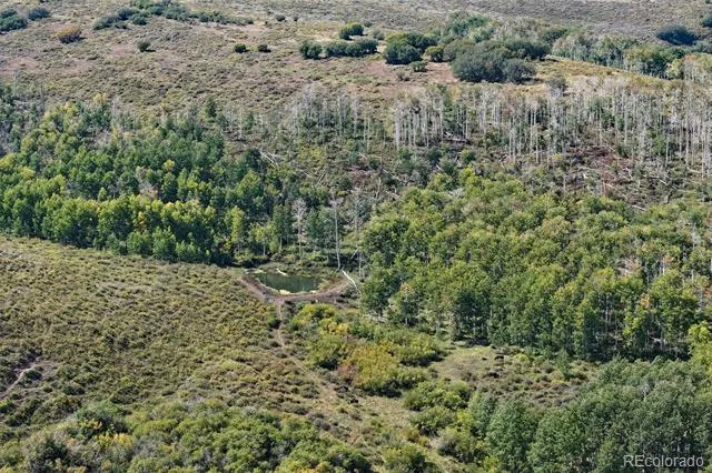 000 Divide Road Whitewater, CO 81527