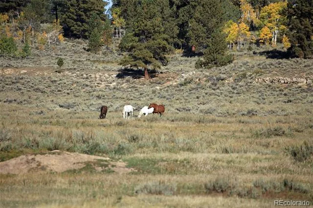 000 Divide Road Whitewater, CO 81527