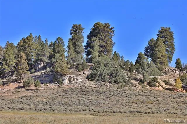 000 Divide Road Whitewater, CO 81527