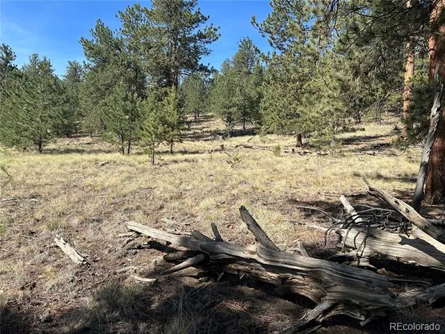 565 Hayhook Way Hartsel, CO 80449