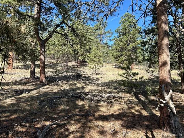 565 Hayhook Way Hartsel, CO 80449