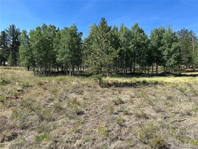 565 Hayhook Way Hartsel, CO 80449