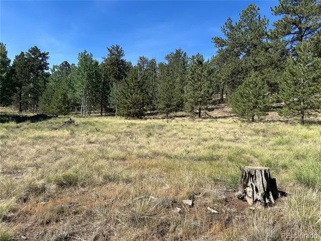 565 Hayhook Way Hartsel, CO 80449