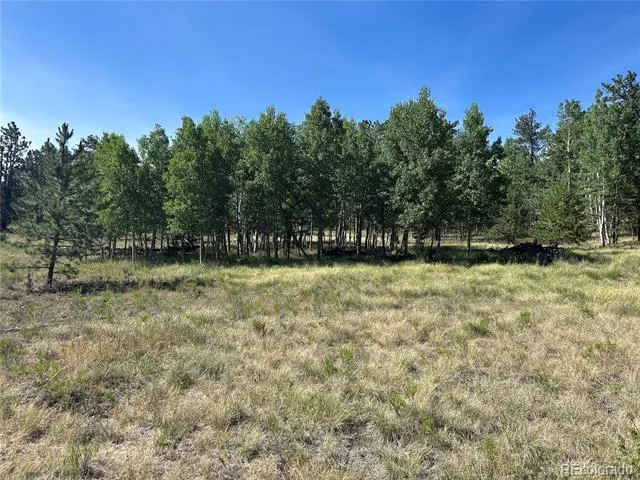 565 Hayhook Way Hartsel, CO 80449