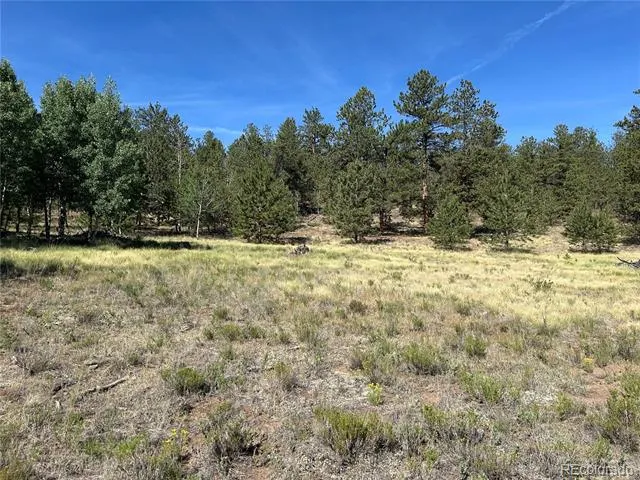 565 Hayhook Way Hartsel, CO 80449