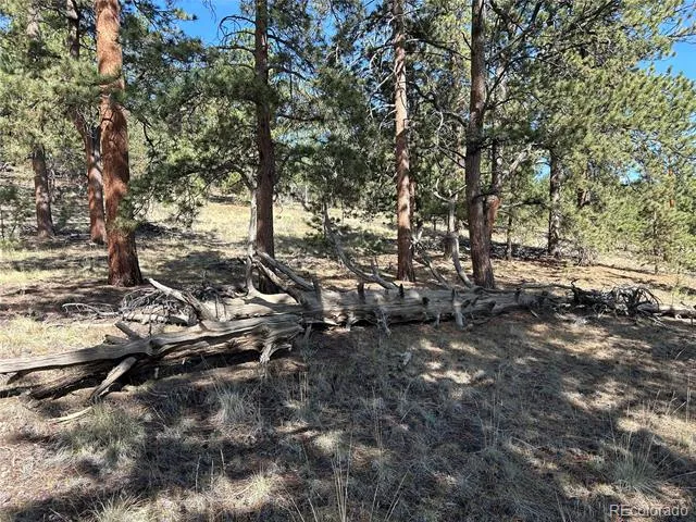 565 Hayhook Way Hartsel, CO 80449