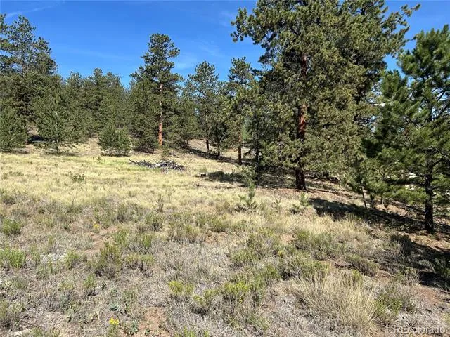 565 Hayhook Way Hartsel, CO 80449
