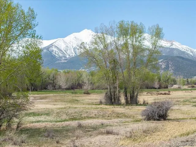 CR 361A Buena Vista, CO 81211