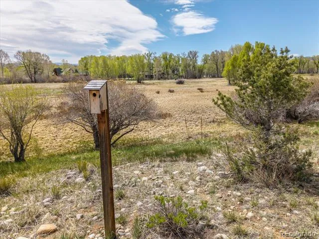 CR 361A Buena Vista, CO 81211