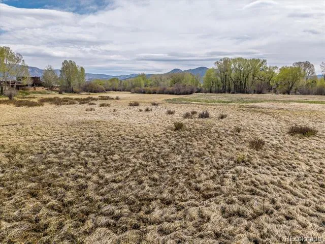 CR 361A Buena Vista, CO 81211