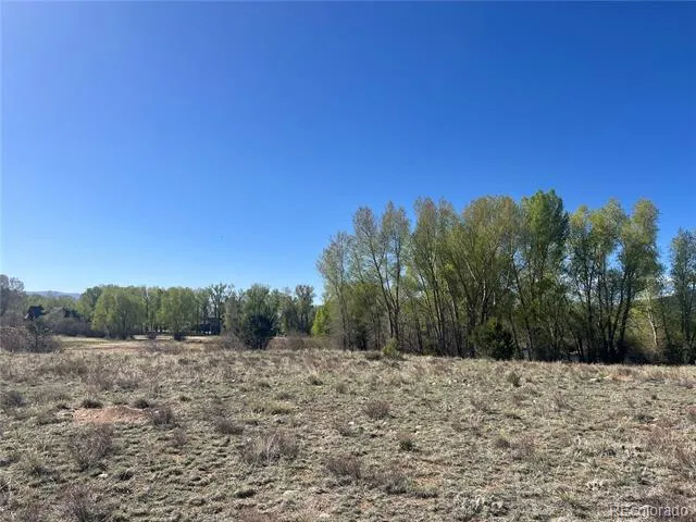 CR 361A Buena Vista, CO 81211