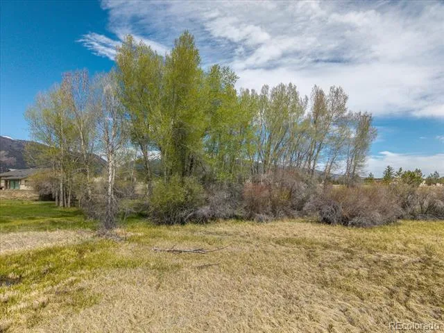 CR 361A Buena Vista, CO 81211