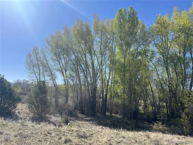 CR 361A Buena Vista, CO 81211