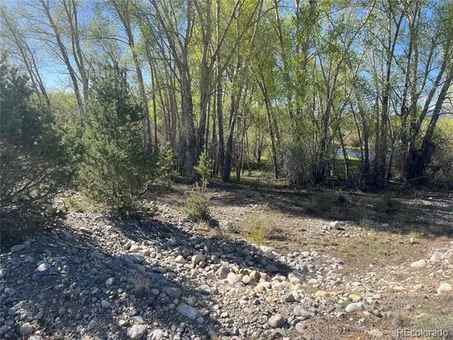 CR 361A Buena Vista, CO 81211