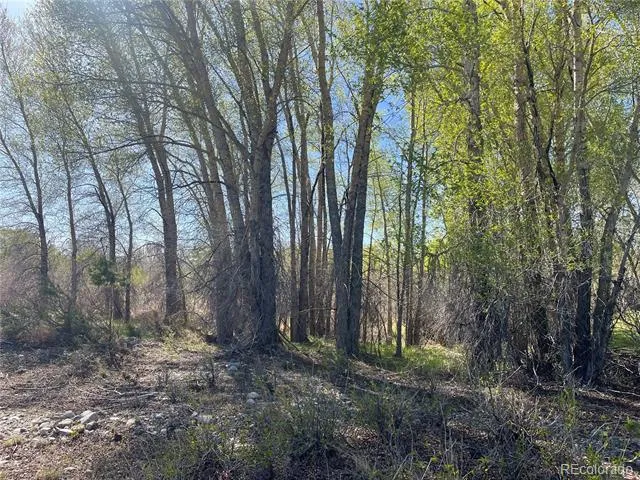 CR 361A Buena Vista, CO 81211