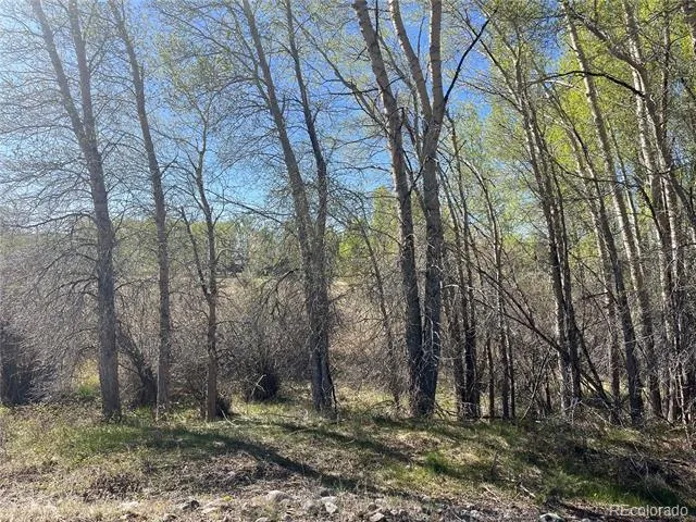 CR 361A Buena Vista, CO 81211