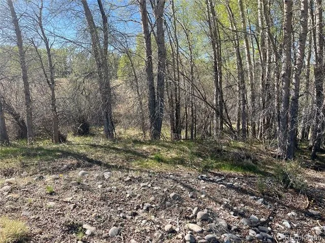 CR 361A Buena Vista, CO 81211