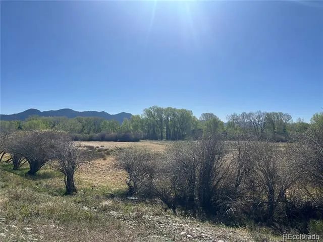 CR 361A Buena Vista, CO 81211
