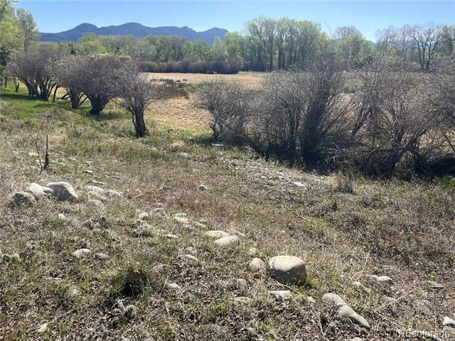 CR 361A Buena Vista, CO 81211