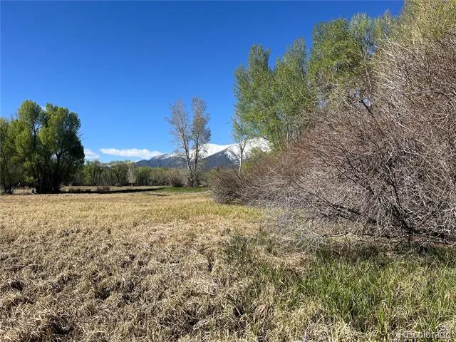 CR 361A Buena Vista, CO 81211