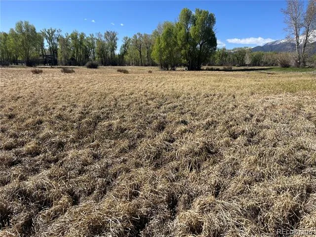 CR 361A Buena Vista, CO 81211