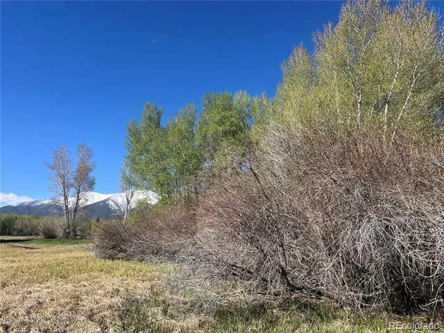 CR 361A Buena Vista, CO 81211