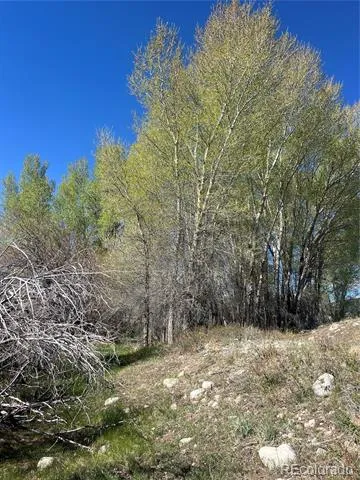CR 361A Buena Vista, CO 81211