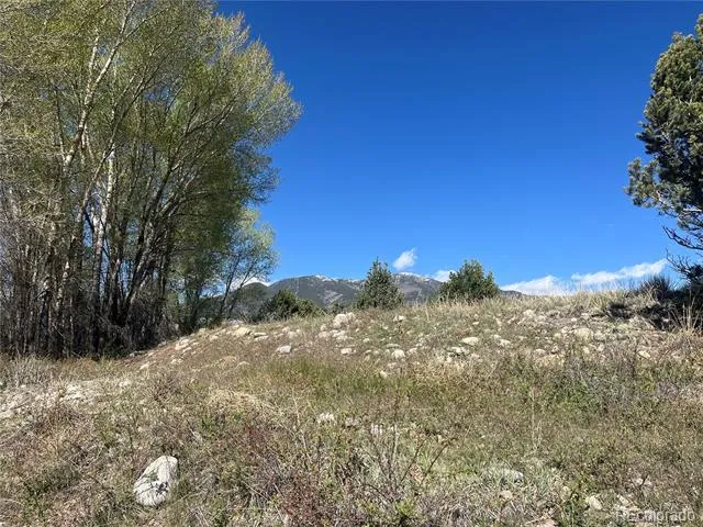 CR 361A Buena Vista, CO 81211