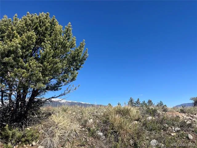 CR 361A Buena Vista, CO 81211