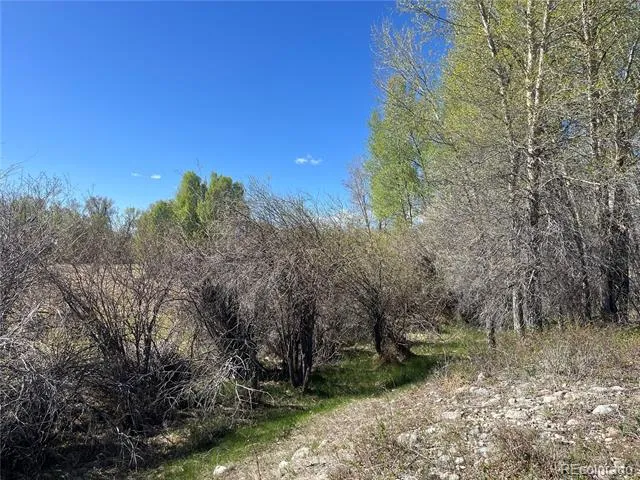 CR 361A Buena Vista, CO 81211