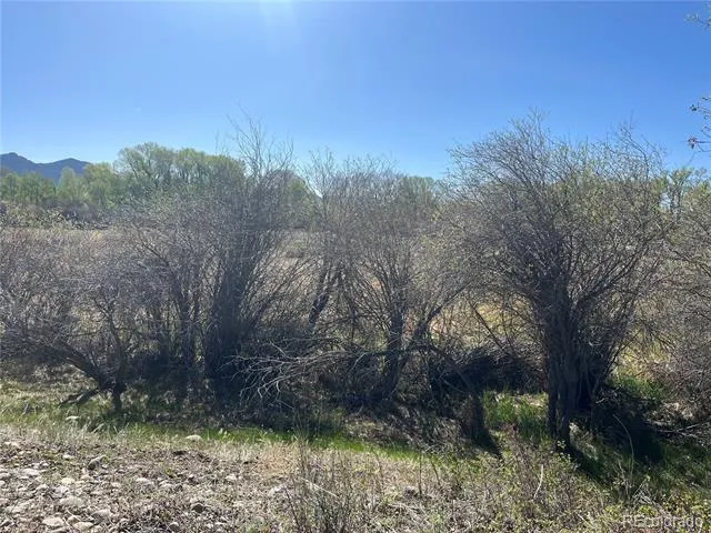 CR 361A Buena Vista, CO 81211