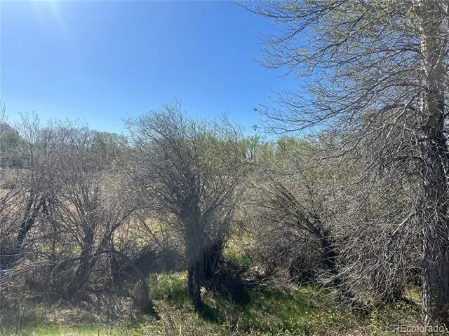 CR 361A Buena Vista, CO 81211