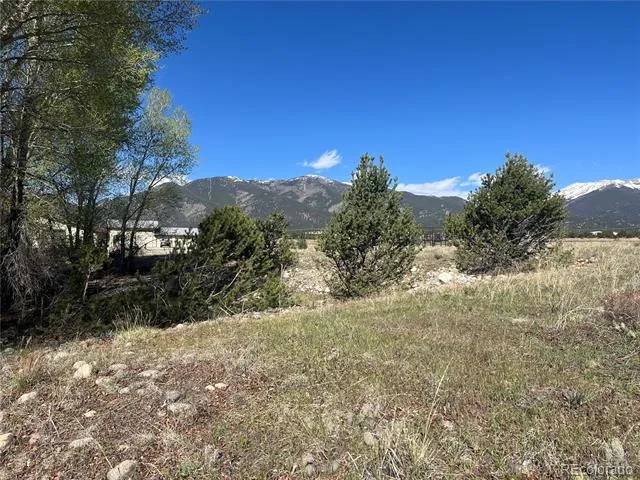 CR 361A Buena Vista, CO 81211