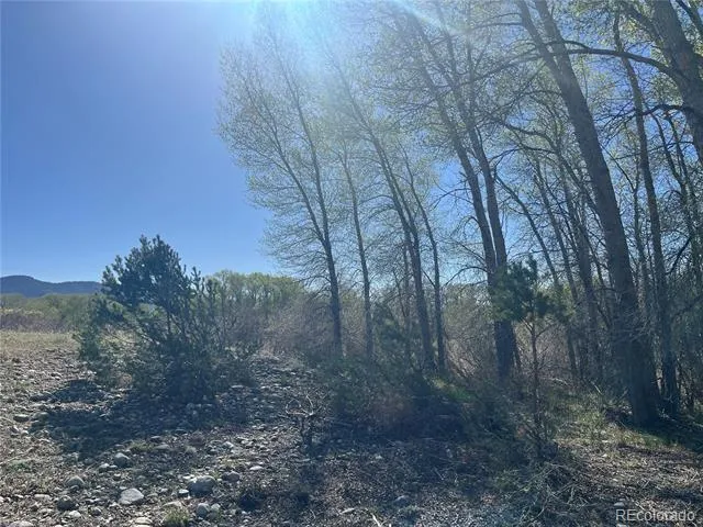 CR 361A Buena Vista, CO 81211