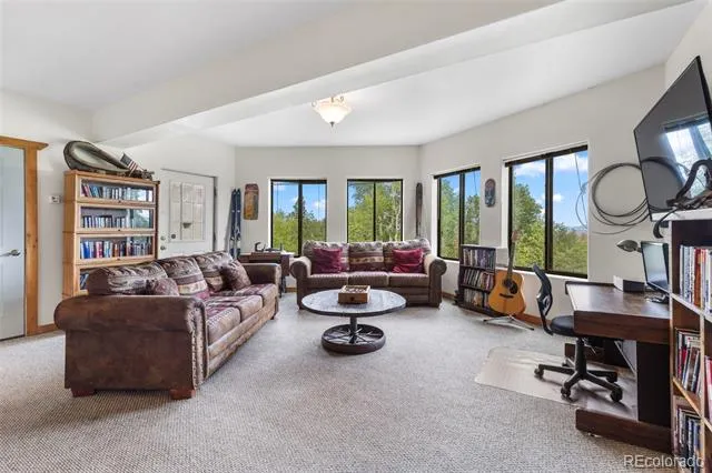 1586 Sheep Ridge Fairplay, CO 80440